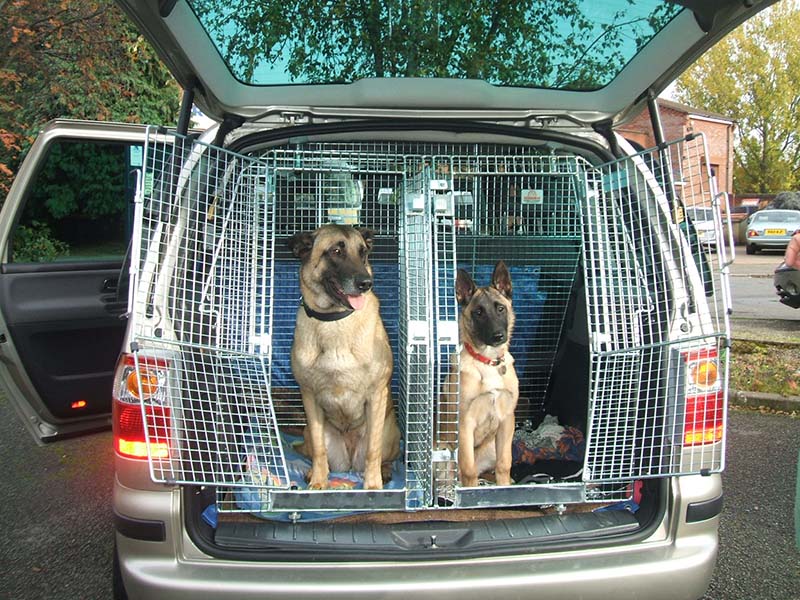 tailgate dog guards